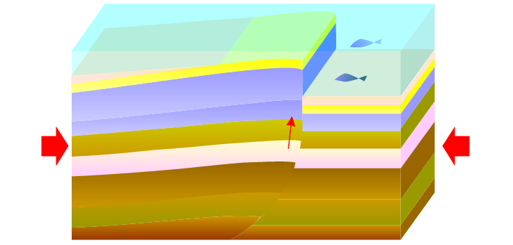 盆地反転のプロセス (5/5)