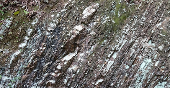 ジュラ紀の付加体