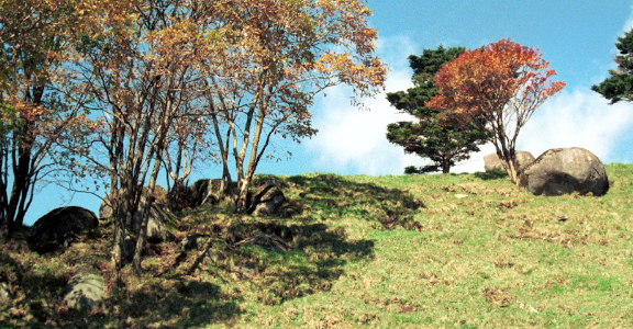 白亜紀の火成岩類