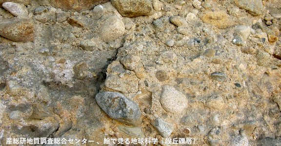 扇状地～段丘堆積物