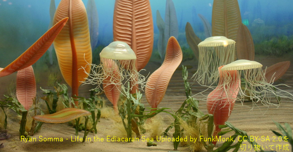 先カンブリア時代