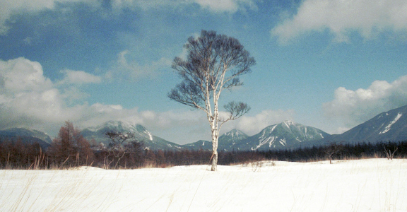 GISデータ・情報