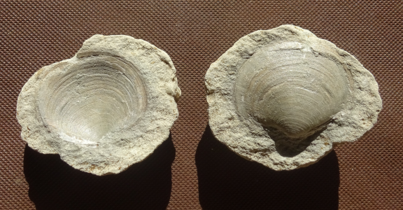 このサイトについて